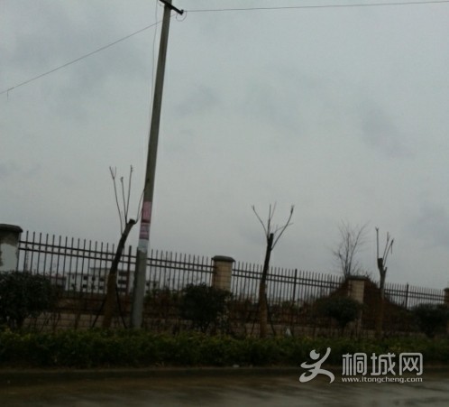 QQͼƬ20140212150059.jpg