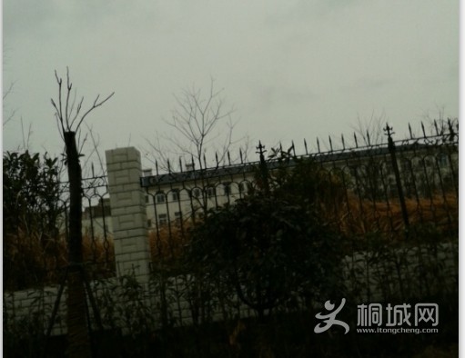 QQͼƬ20140212150248.jpg