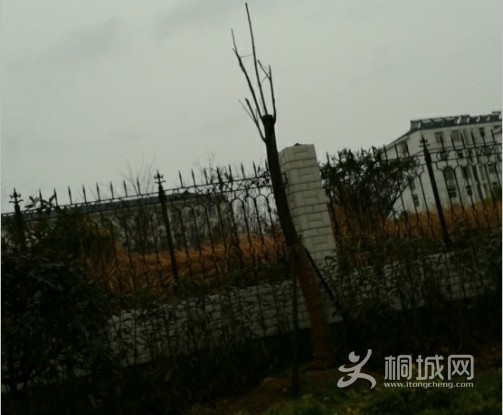 QQͼƬ20140212150349.jpg