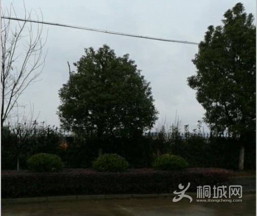 QQͼƬ20140212150527.jpg