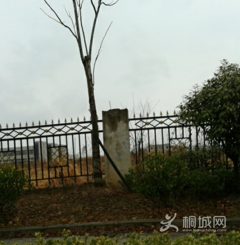 QQͼƬ20140212150557.jpg