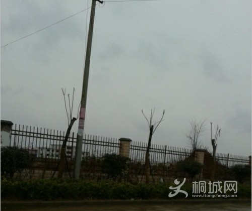 QQͼƬ20140212150625.jpg