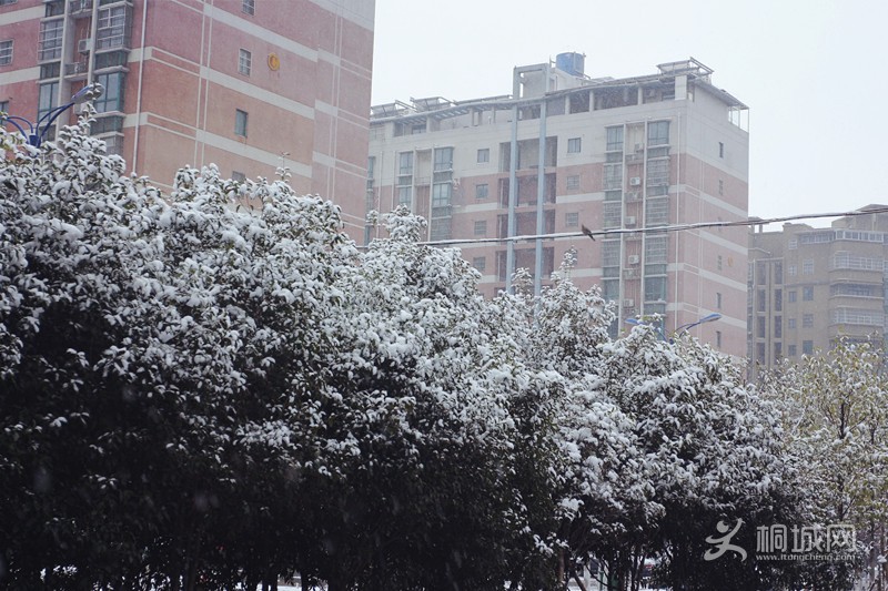 _MG_0978.JPG