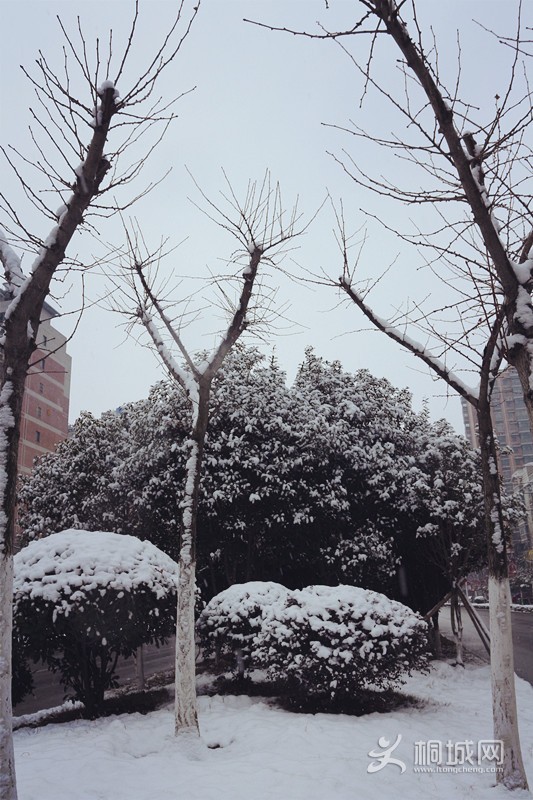_MG_0974.JPG