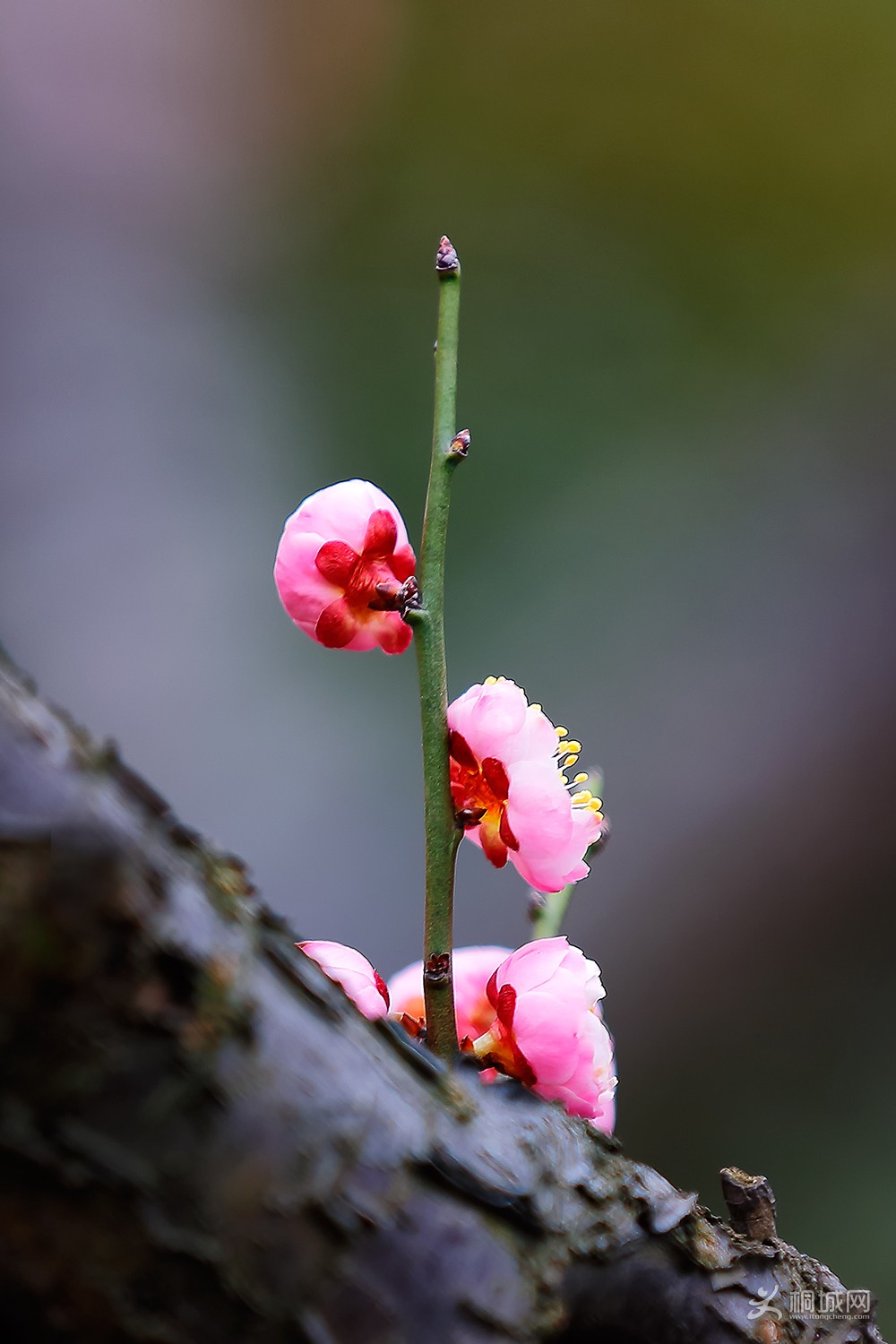1K_U6A09091.jpg