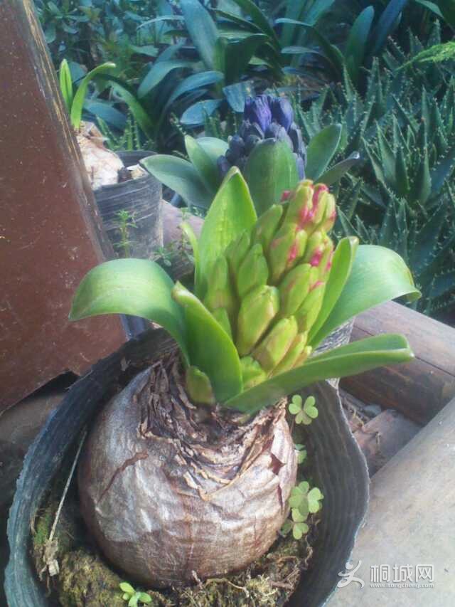 ҵ