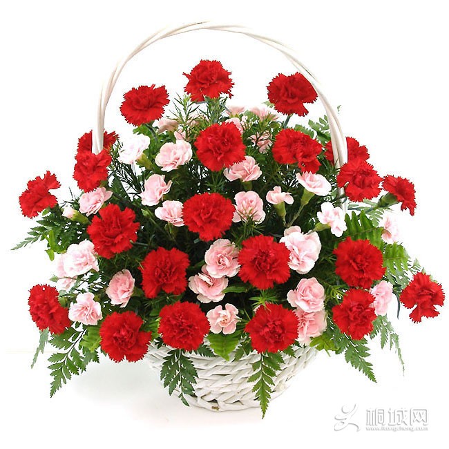 201005201709060338.jpg