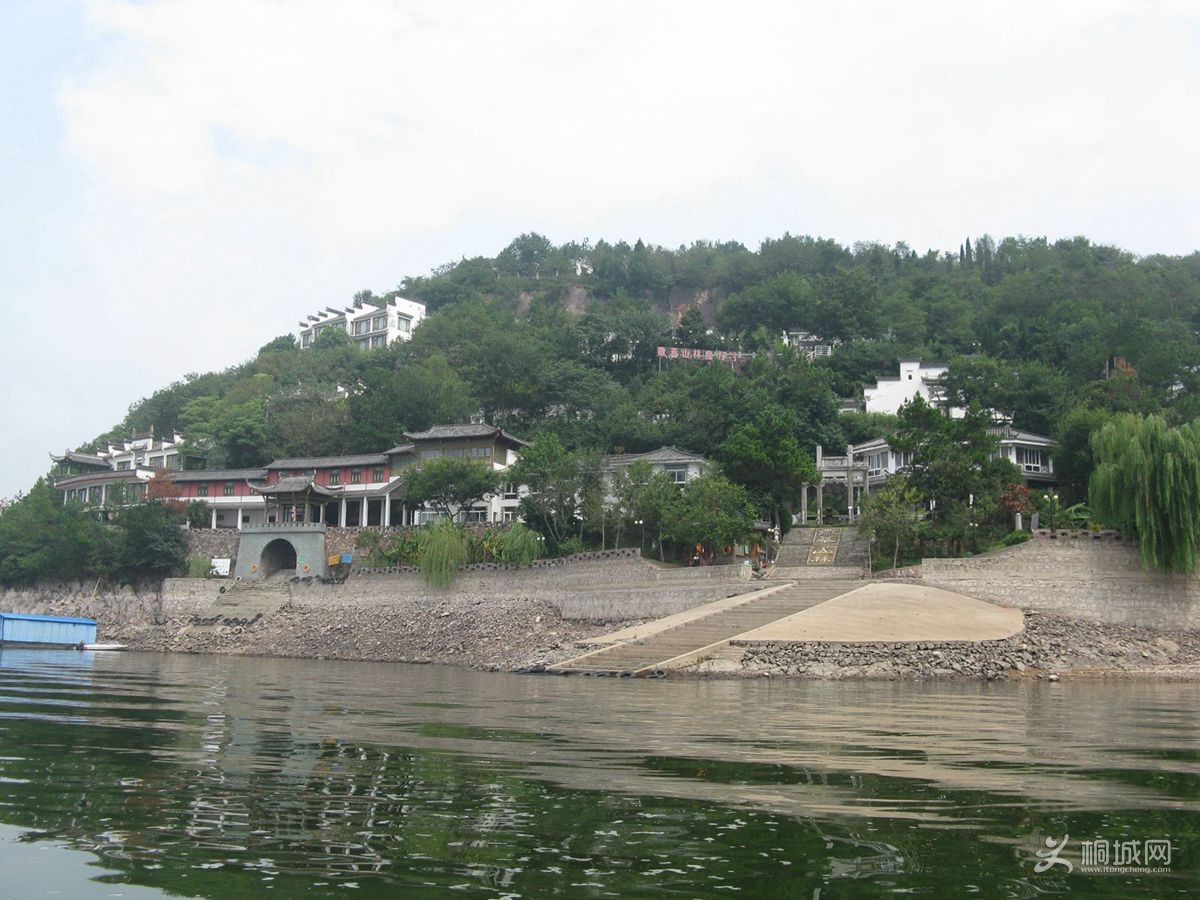 IMG_7153.jpg