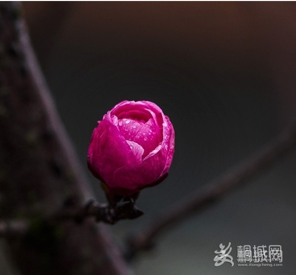 QQͼƬ20140314120316.jpg