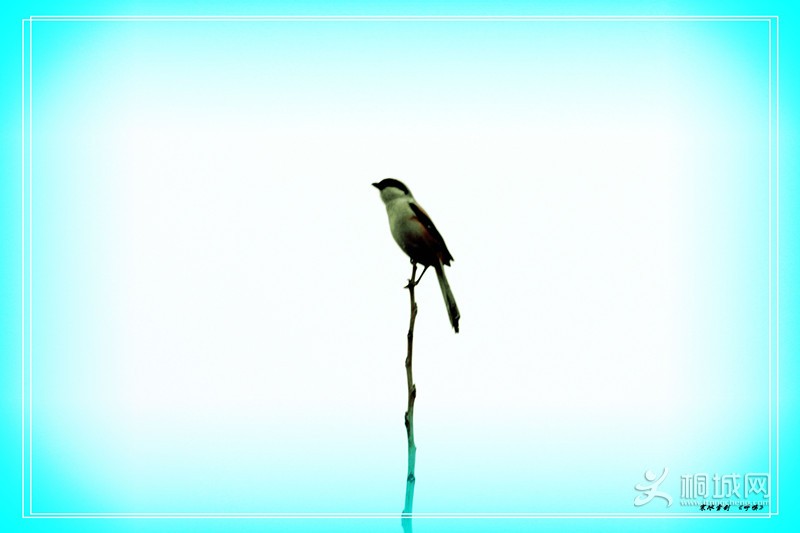 IMG_2790__.jpg