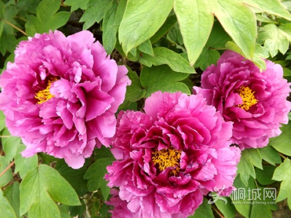 DSCF3359_.jpg