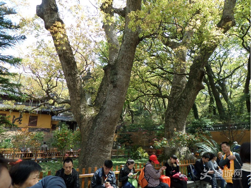 QQͼƬ20140410145218.jpg