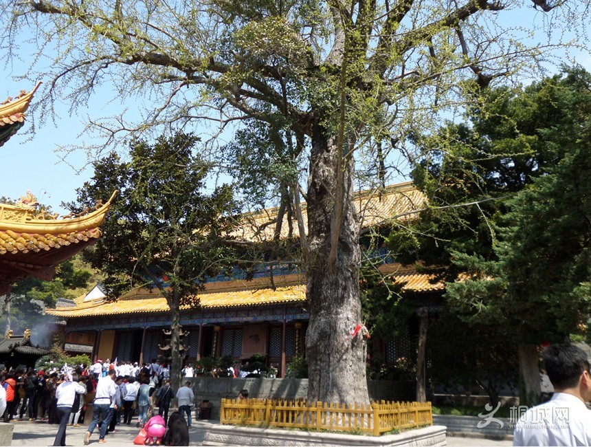 QQͼƬ20140410150425.jpg