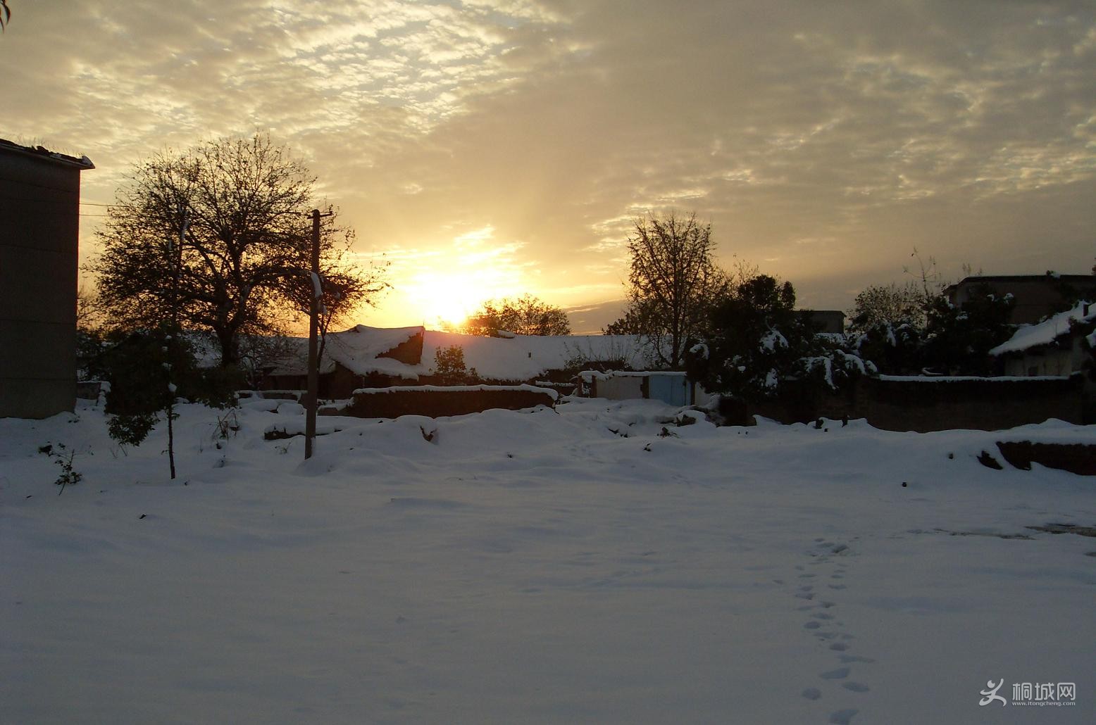 SDC11883.JPG