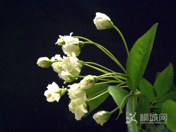 DSCF3474.JPG