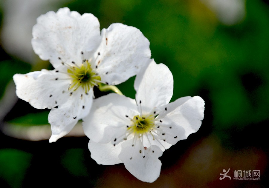 DSC_0348.jpg