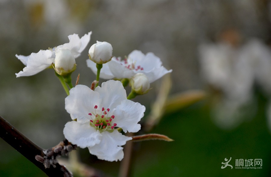 DSC_0353.jpg