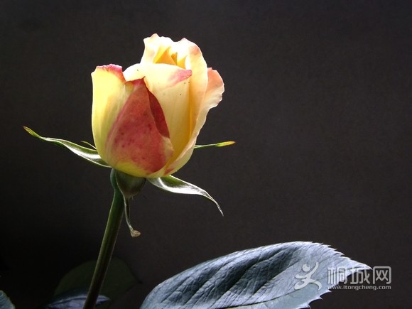 DSCF3512.JPG