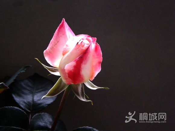DSCF3509.JPG
