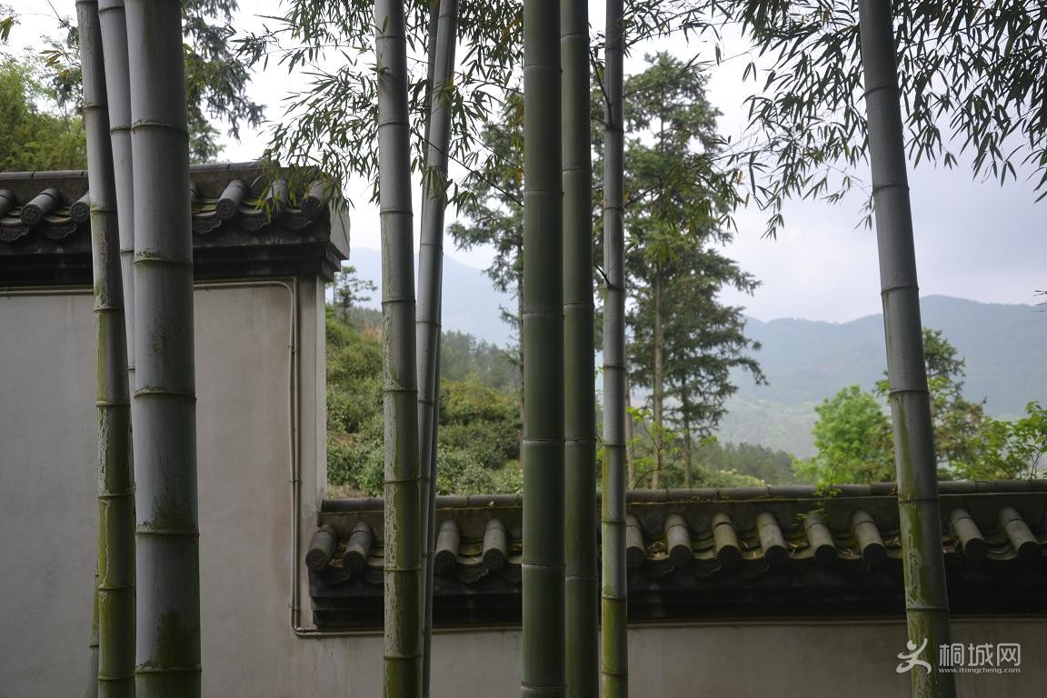 DSC_0009.JPG