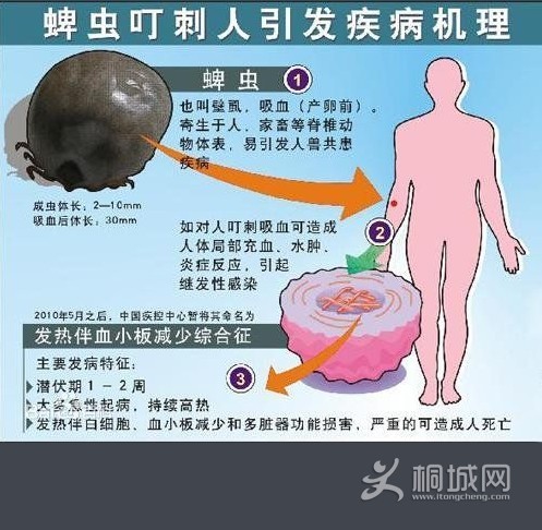 QQͼ20140506132204.jpg