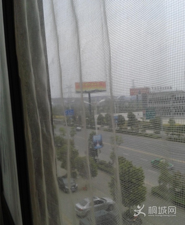 20140509_114449.jpg