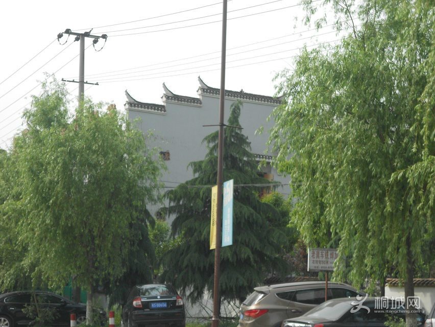 psbCAYQYRP1.jpg