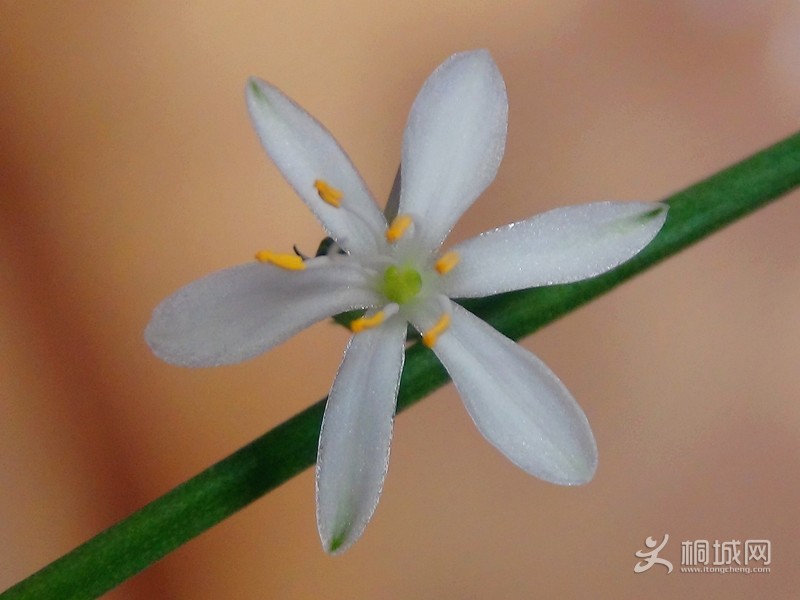 DSC03313_.jpg