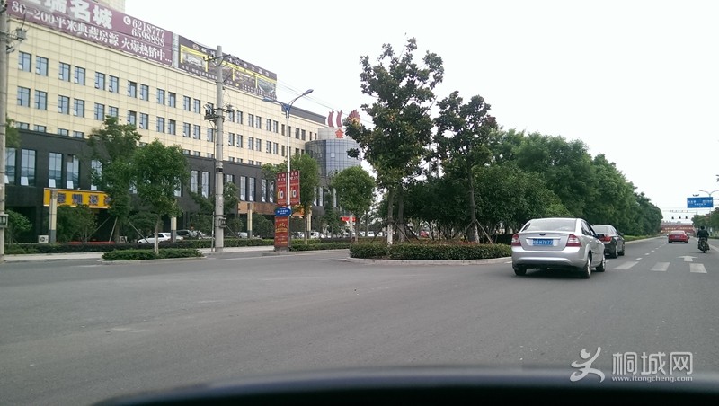 IMAG0011.jpg