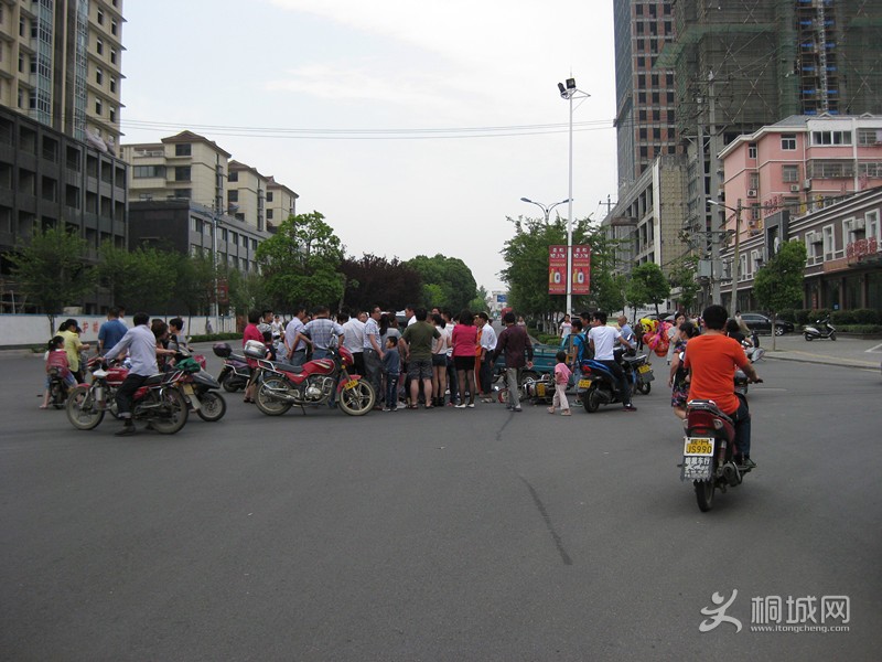 IMG_8234_.jpg
