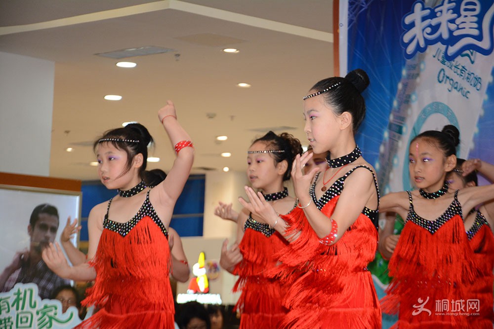 DSC_0131.jpg