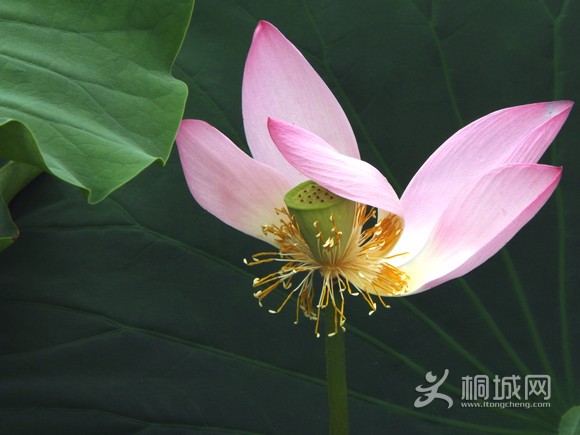 DSCF3949.JPG