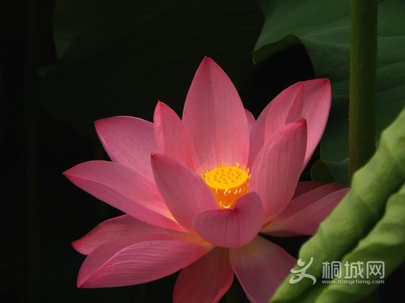 DSCF3896.JPG