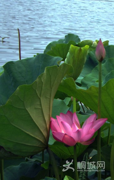 DSCF3915.JPG