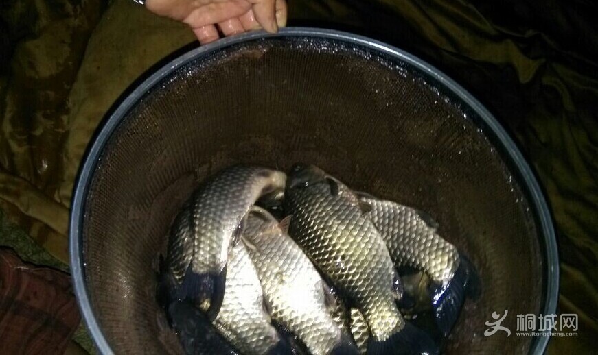 QQͼƬ20140621223952.jpg