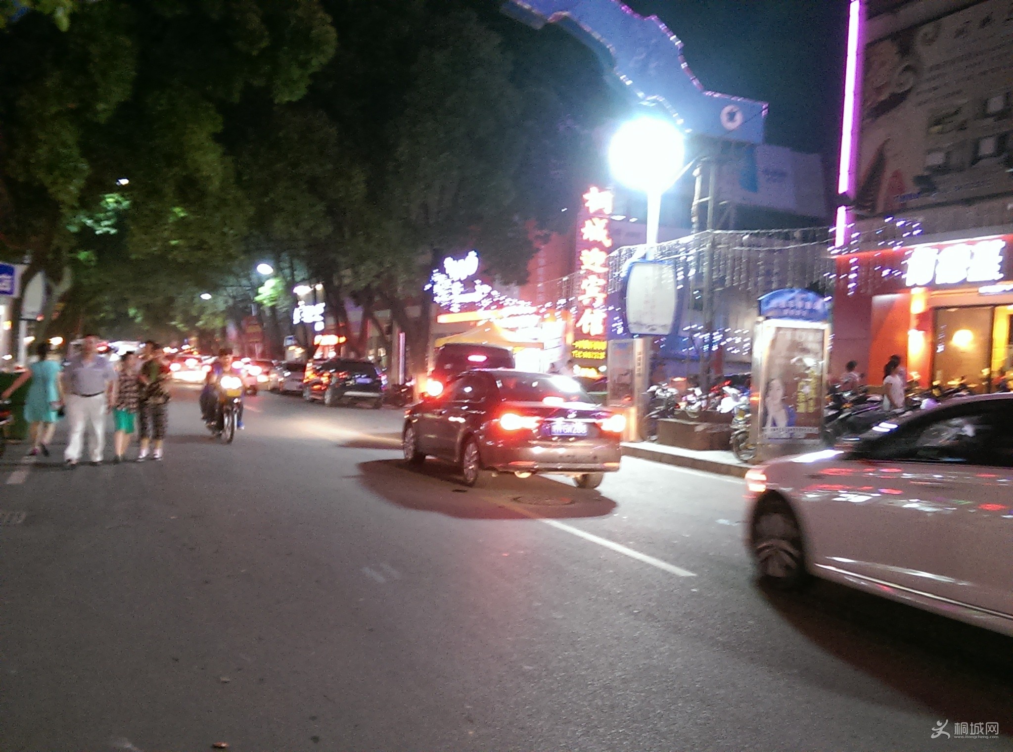 IMAG0102.jpg