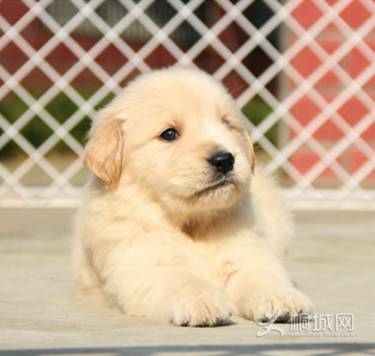 QQͼ20140504134149.jpg