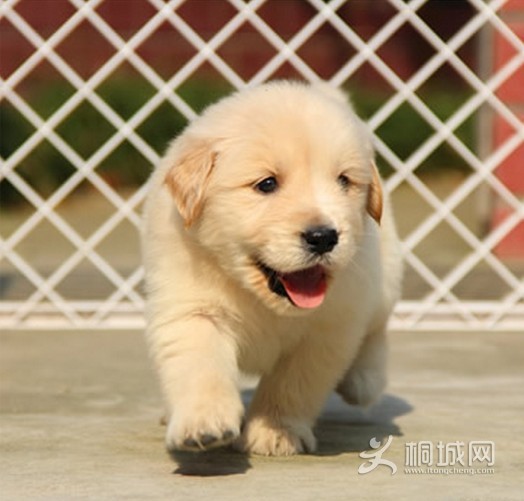 QQͼ20140504134140.jpg