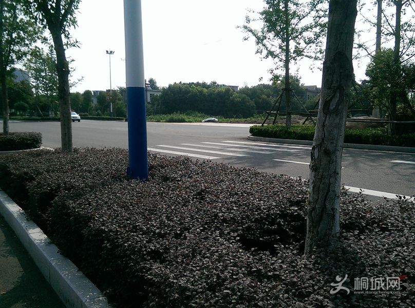 IMAG0120.jpg