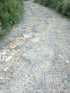 2014-07-22-068_.jpg