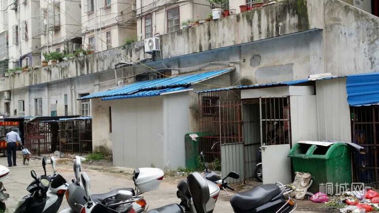 ����С�������Ҵ��ҽ�����