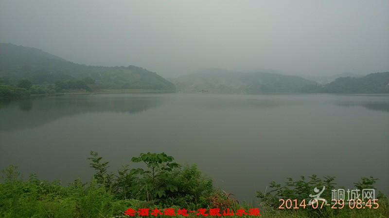IMG_20140729_084556_.jpg