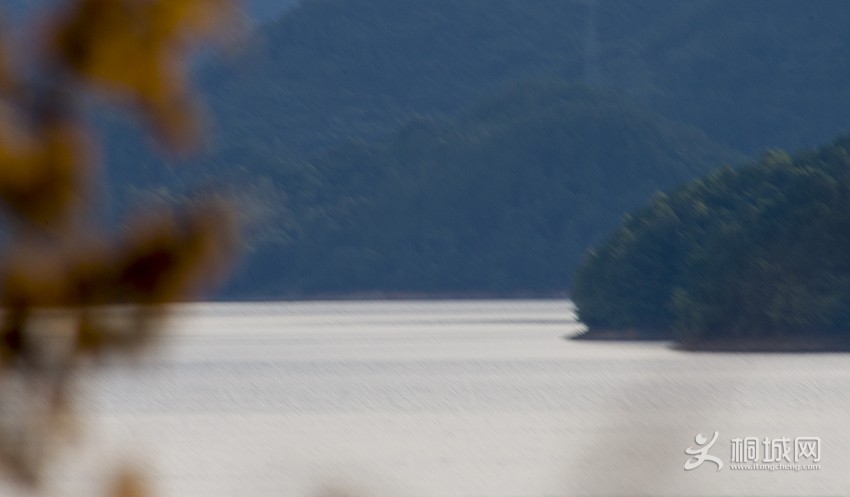 DSC_6901c.jpg