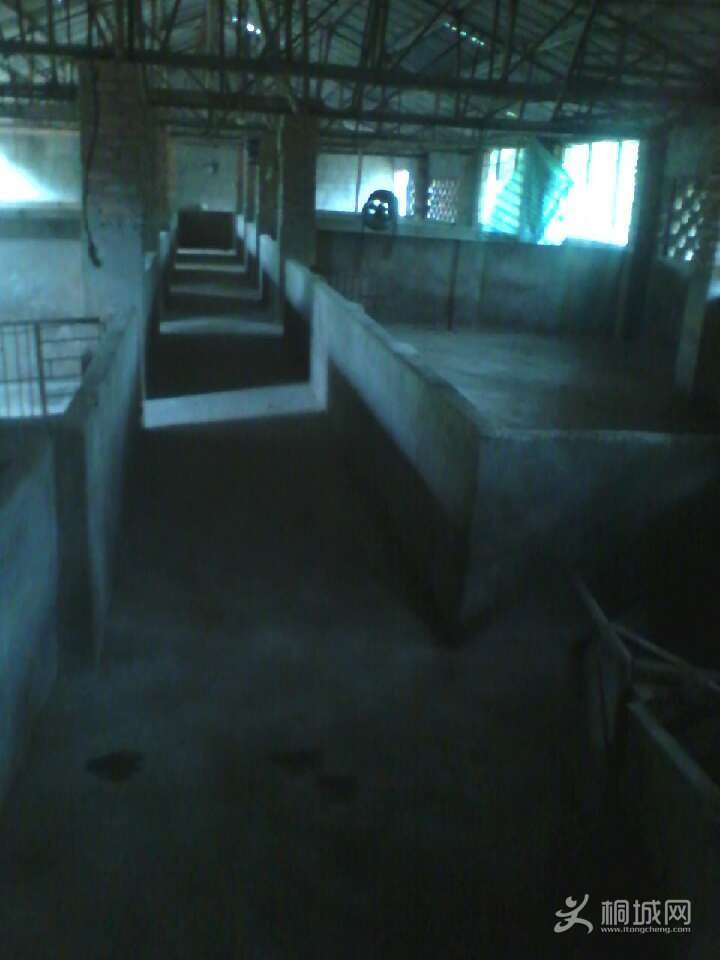 QQͼƬ20140830081635.jpg