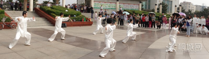 conew_dsc00084_conew1.jpg