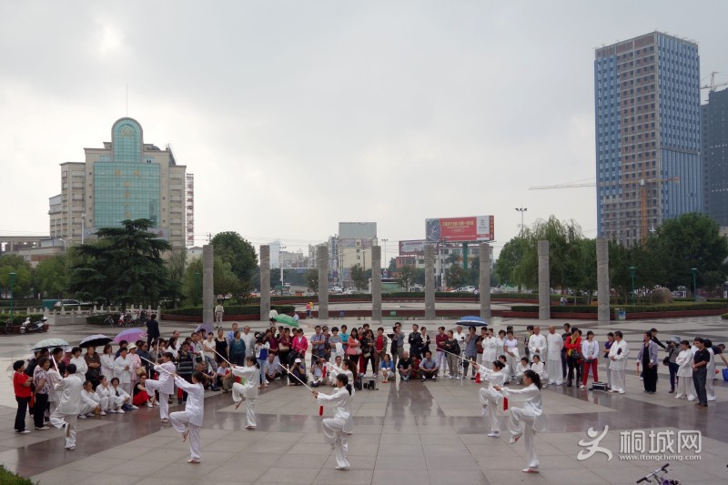 conew_dsc00141_conew1.jpg
