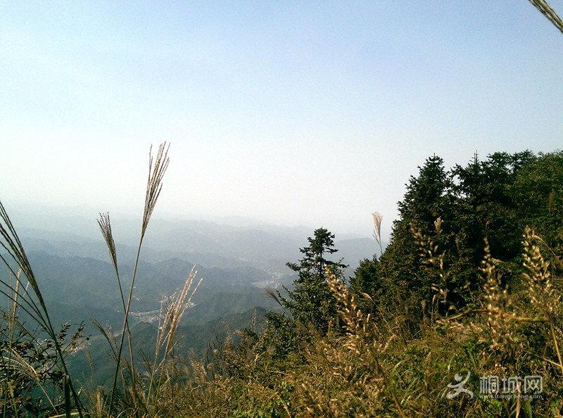 IMAG0246.jpg