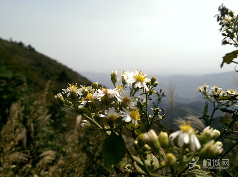 IMAG0248.jpg