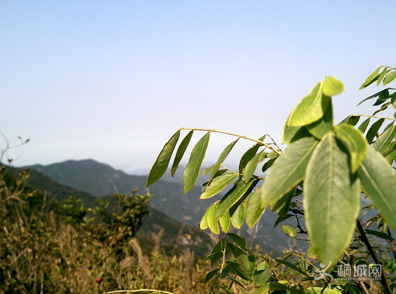 IMAG0249.jpg