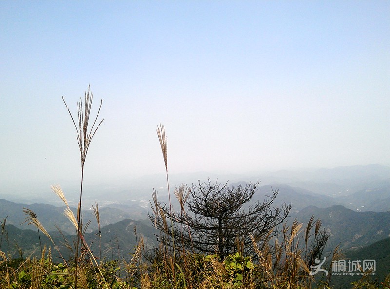 IMAG0260.jpg